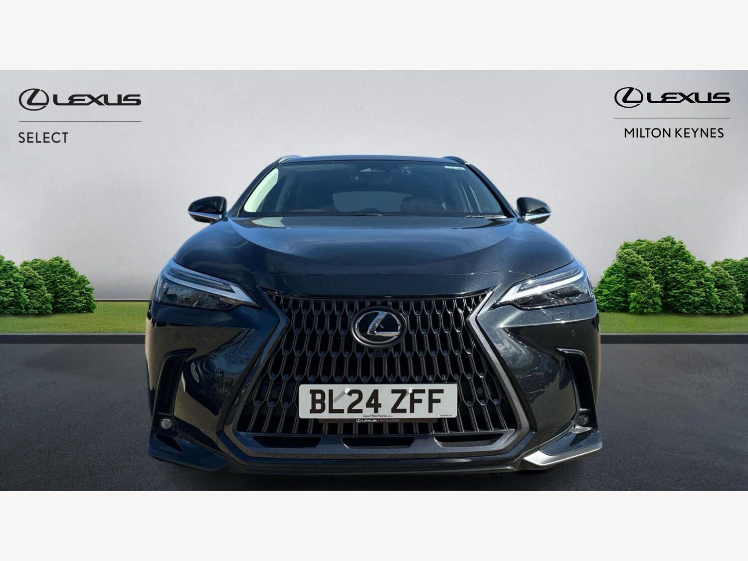 Used Lexus NX 2024 for sale - 78171062: Photo 6