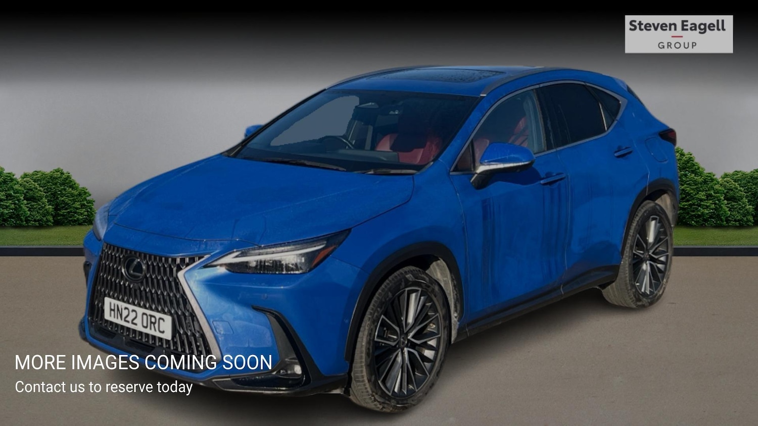 Used Lexus NX for sale - 77783215: Photo 3