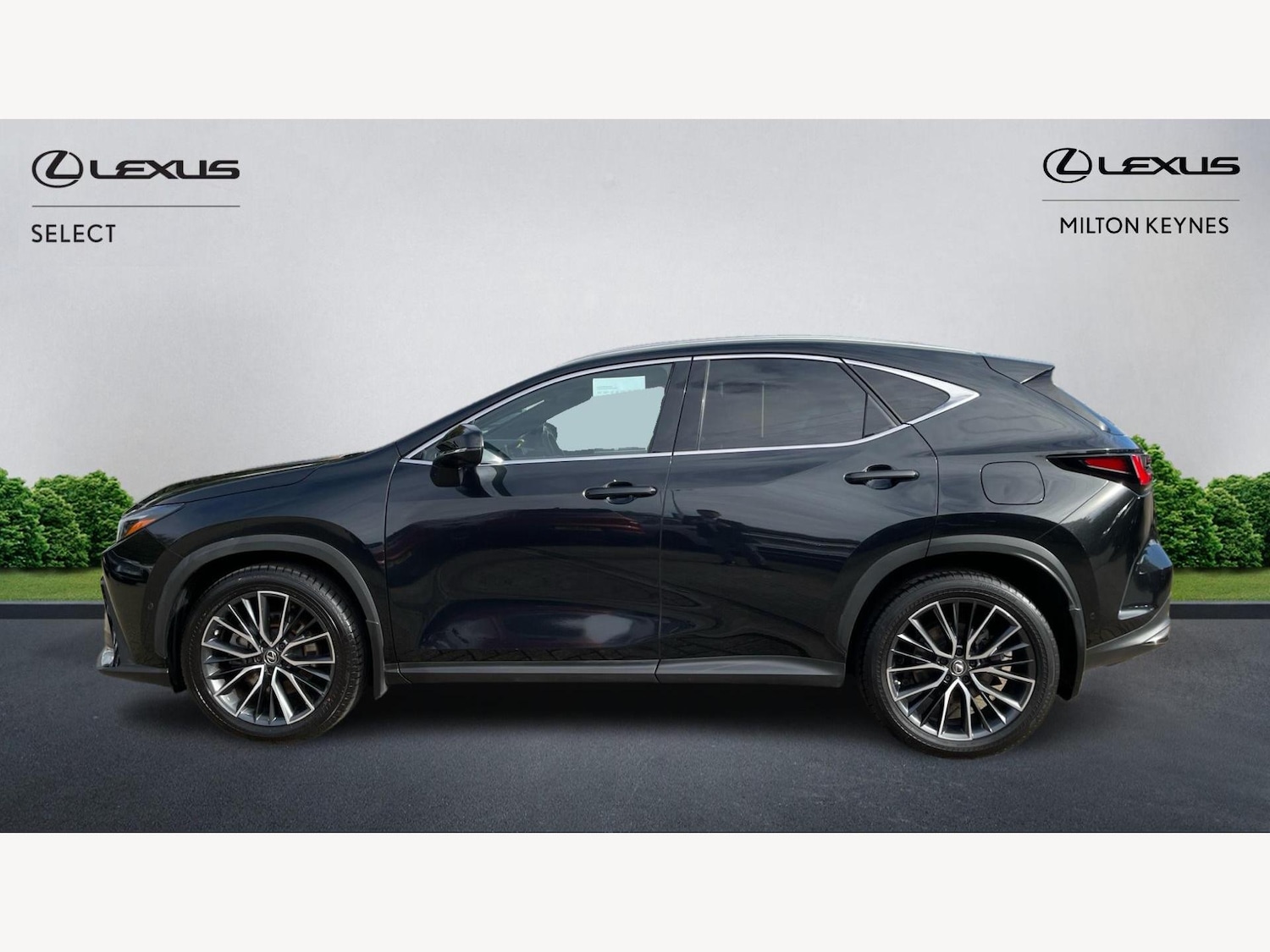 Used Lexus NX 2022 for sale - 76282992: Photo 3