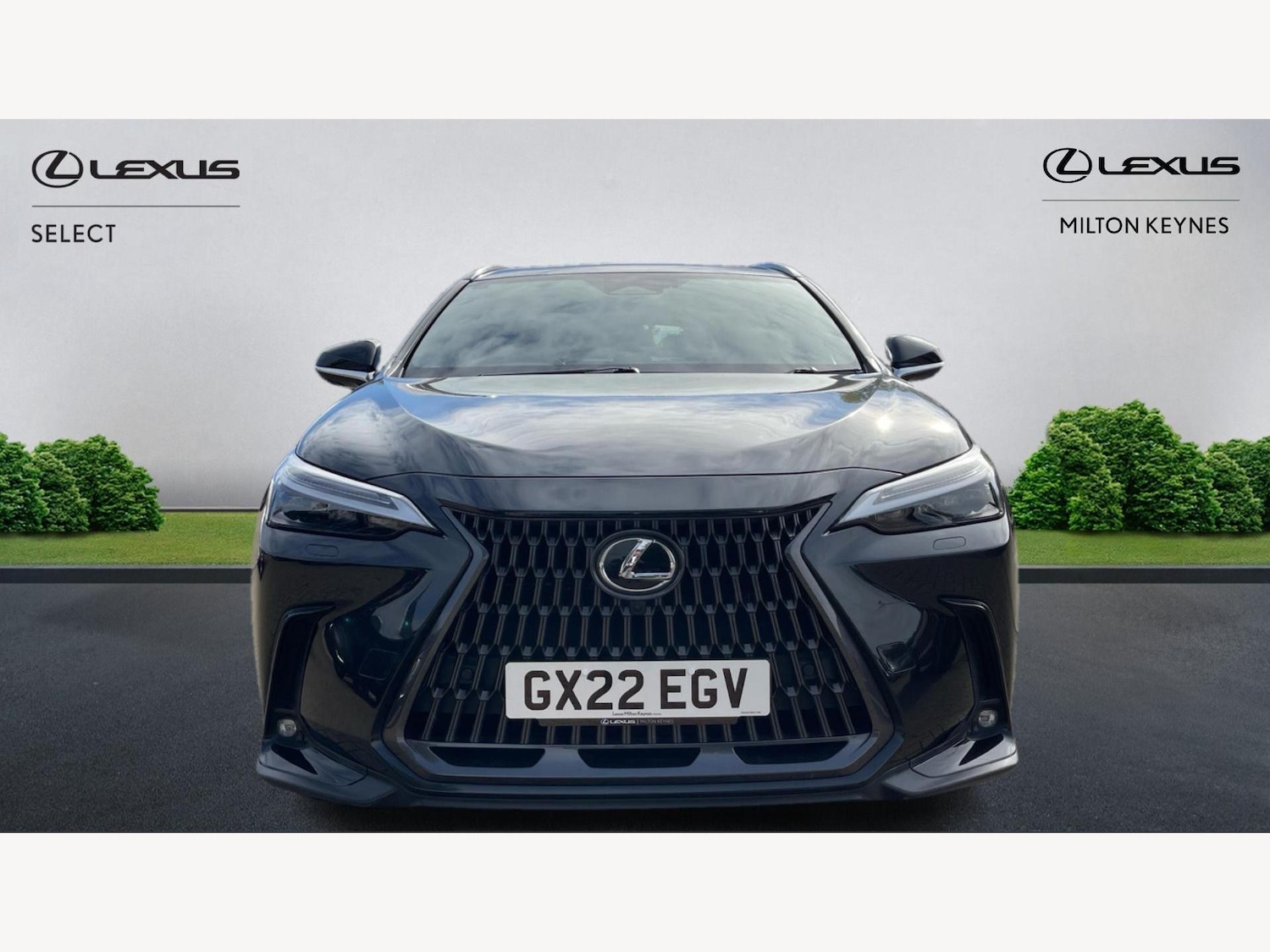 Used Lexus NX 2022 for sale - 76282992: Photo 6