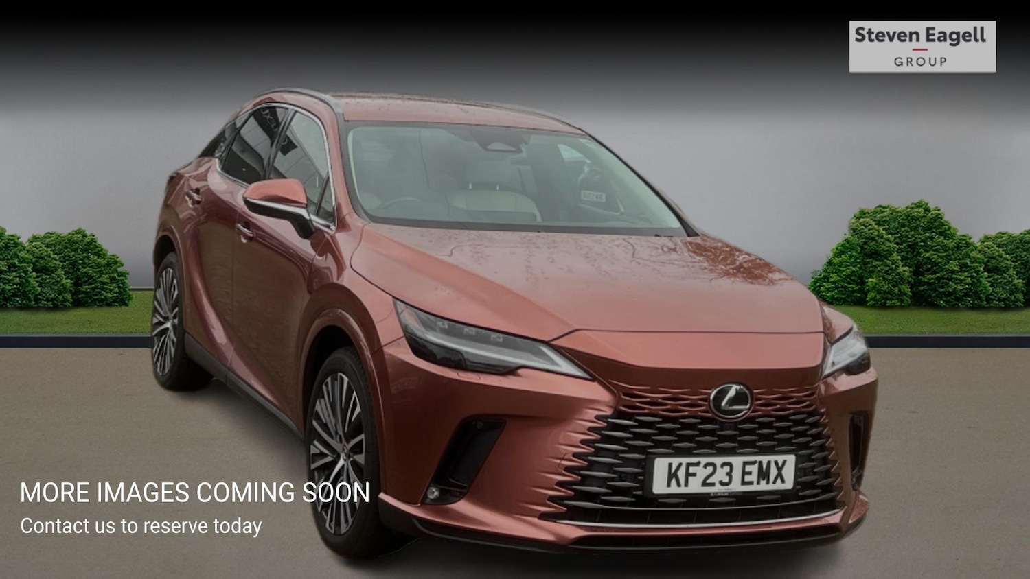 Used Lexus RX 2023 for sale - 76422502: Photo 1