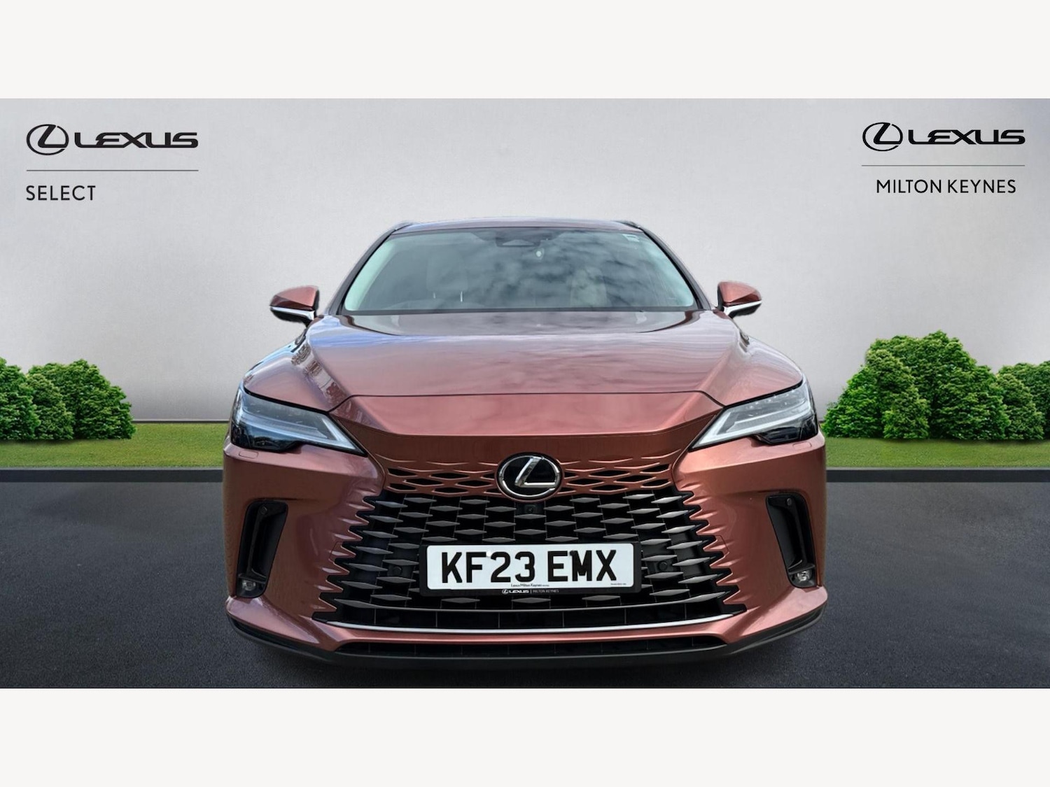 Used Lexus RX 2023 for sale - 76422502: Photo 6