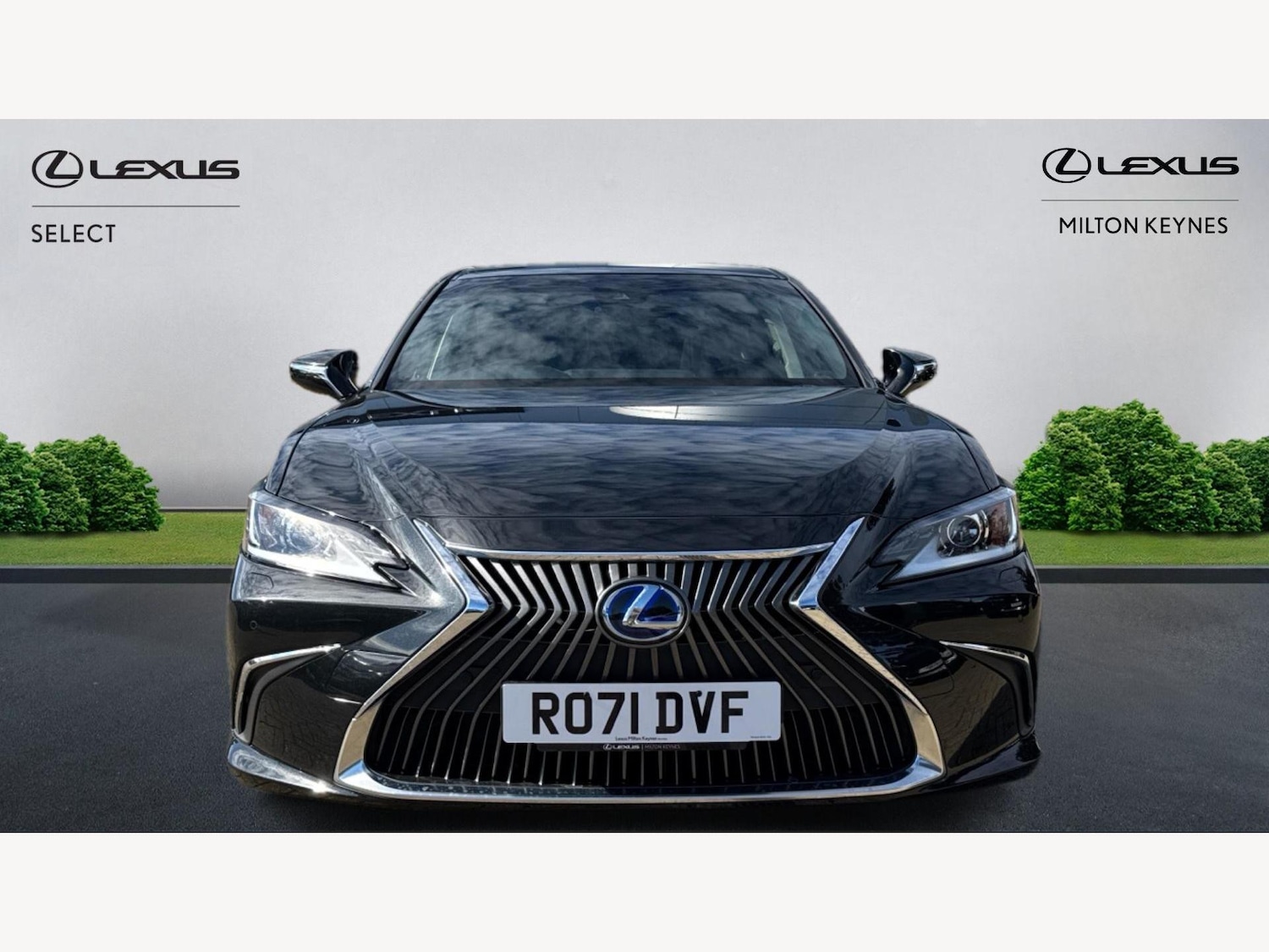 Used Lexus ES 2021 for sale - 75927659: Photo 6