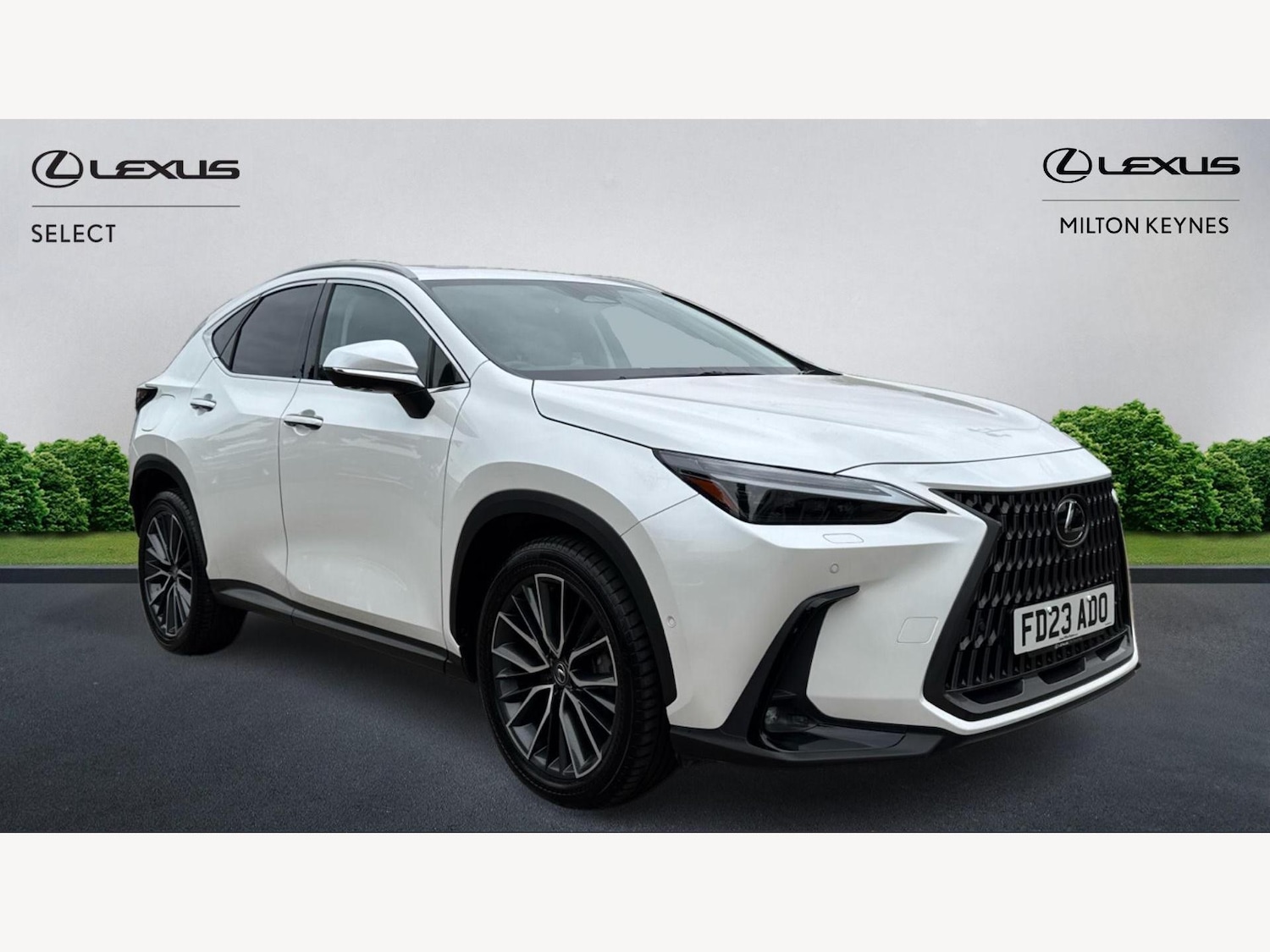 Used Lexus NX 2023 for sale - 76644642: Photo 1