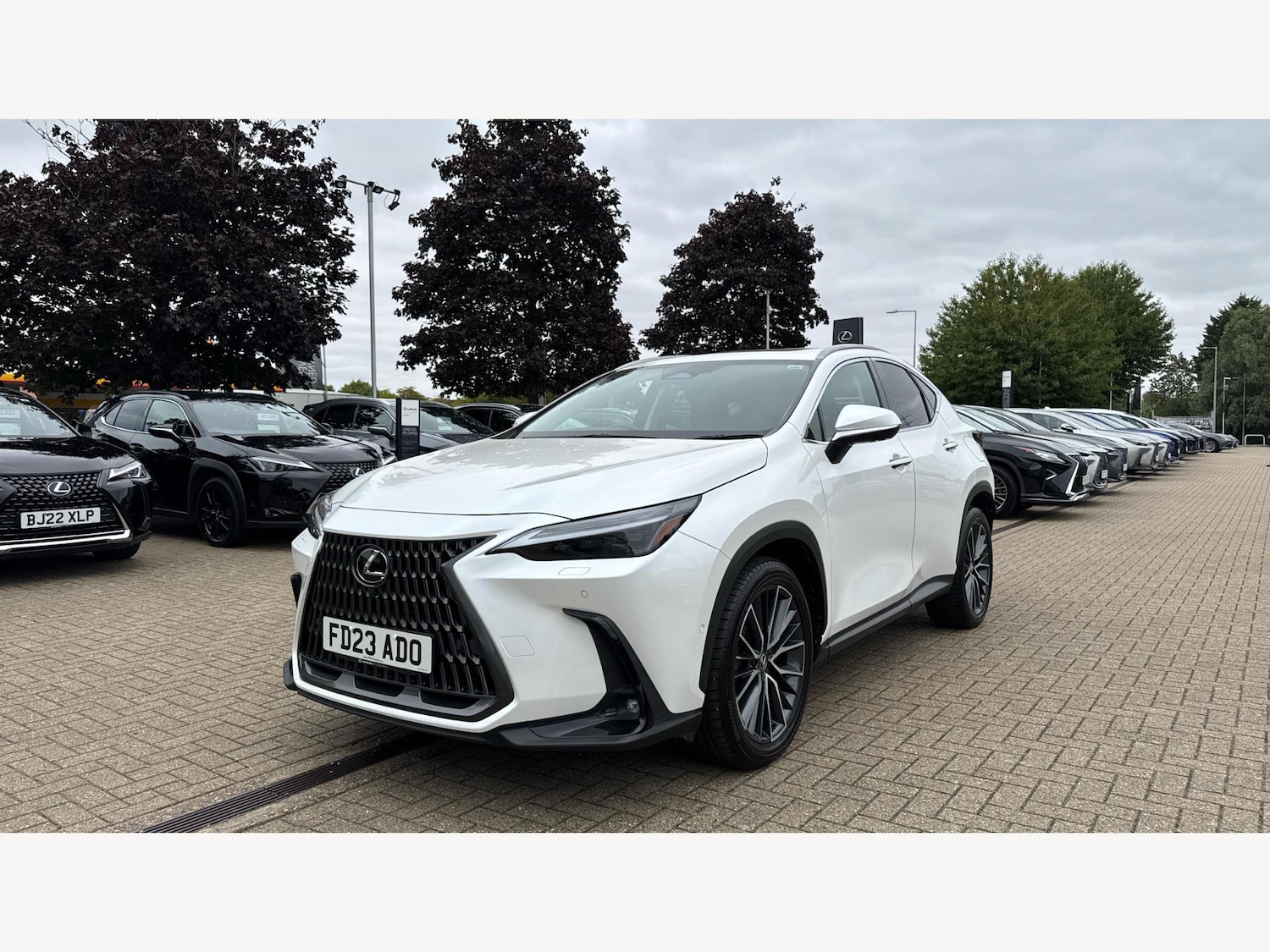 Used Lexus NX 2023 for sale - 76644642: Photo 19