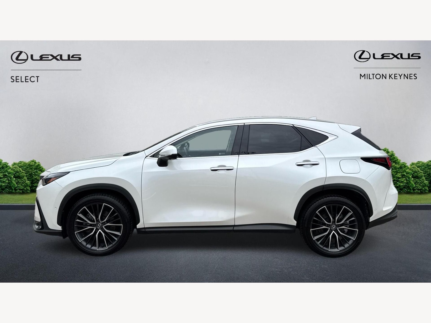 Used Lexus NX 2023 for sale - 76644642: Photo 3