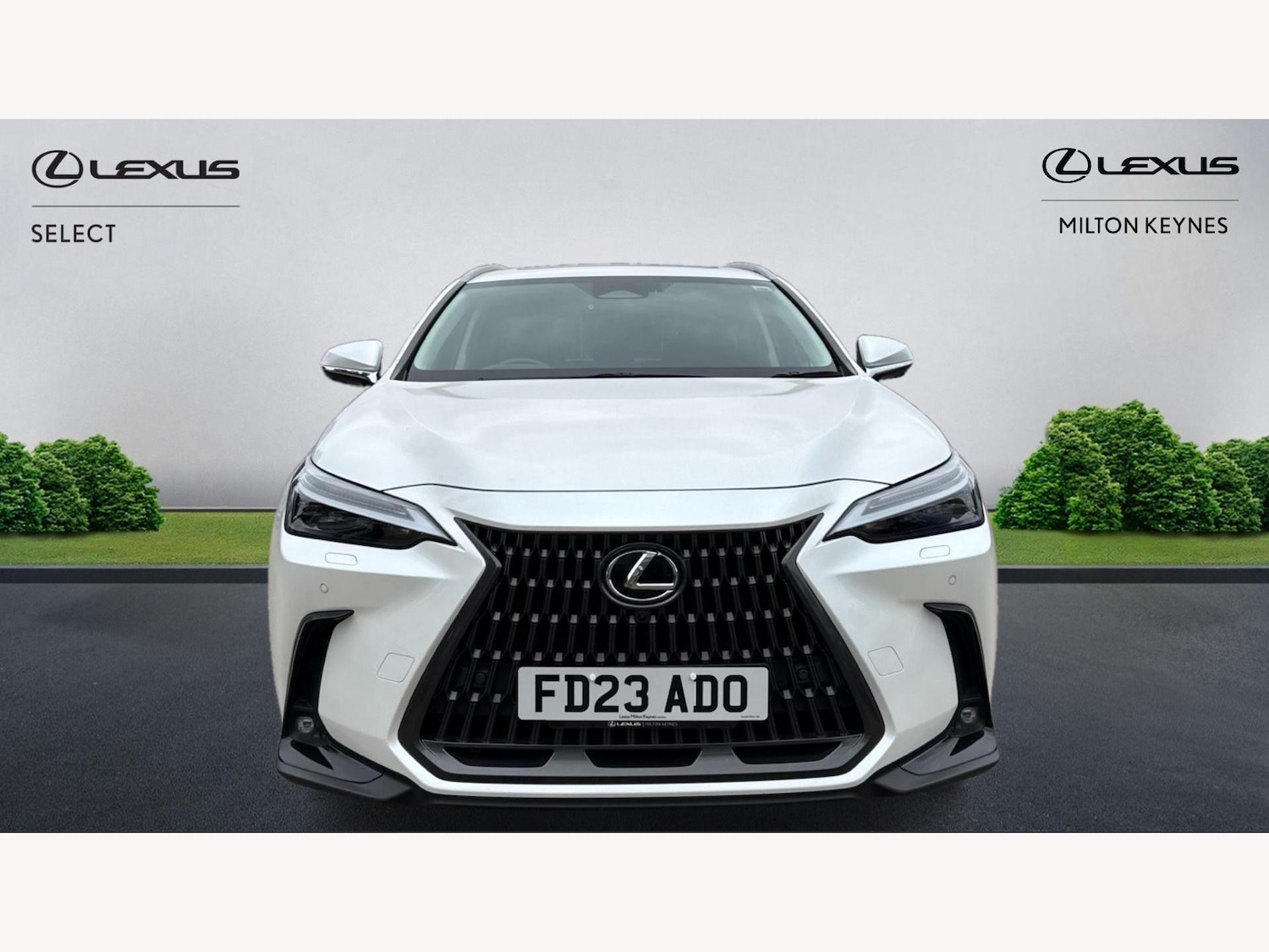 Used Lexus NX 2023 for sale - 76644642: Photo 6