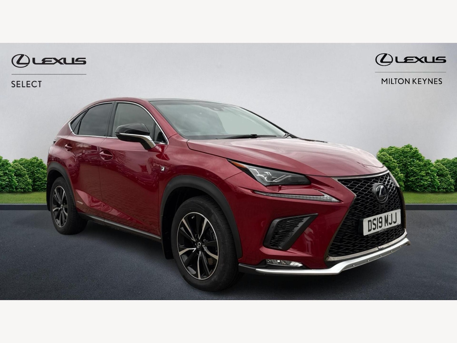 Used Lexus NX 2019 for sale - 76499704: Photo 1