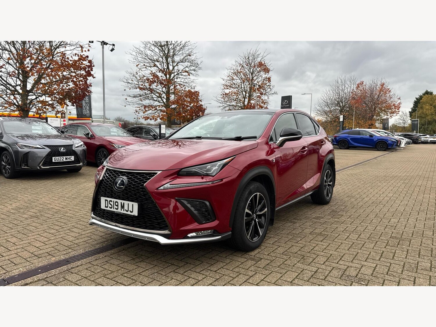 Used Lexus NX 2019 for sale - 76499704: Photo 19