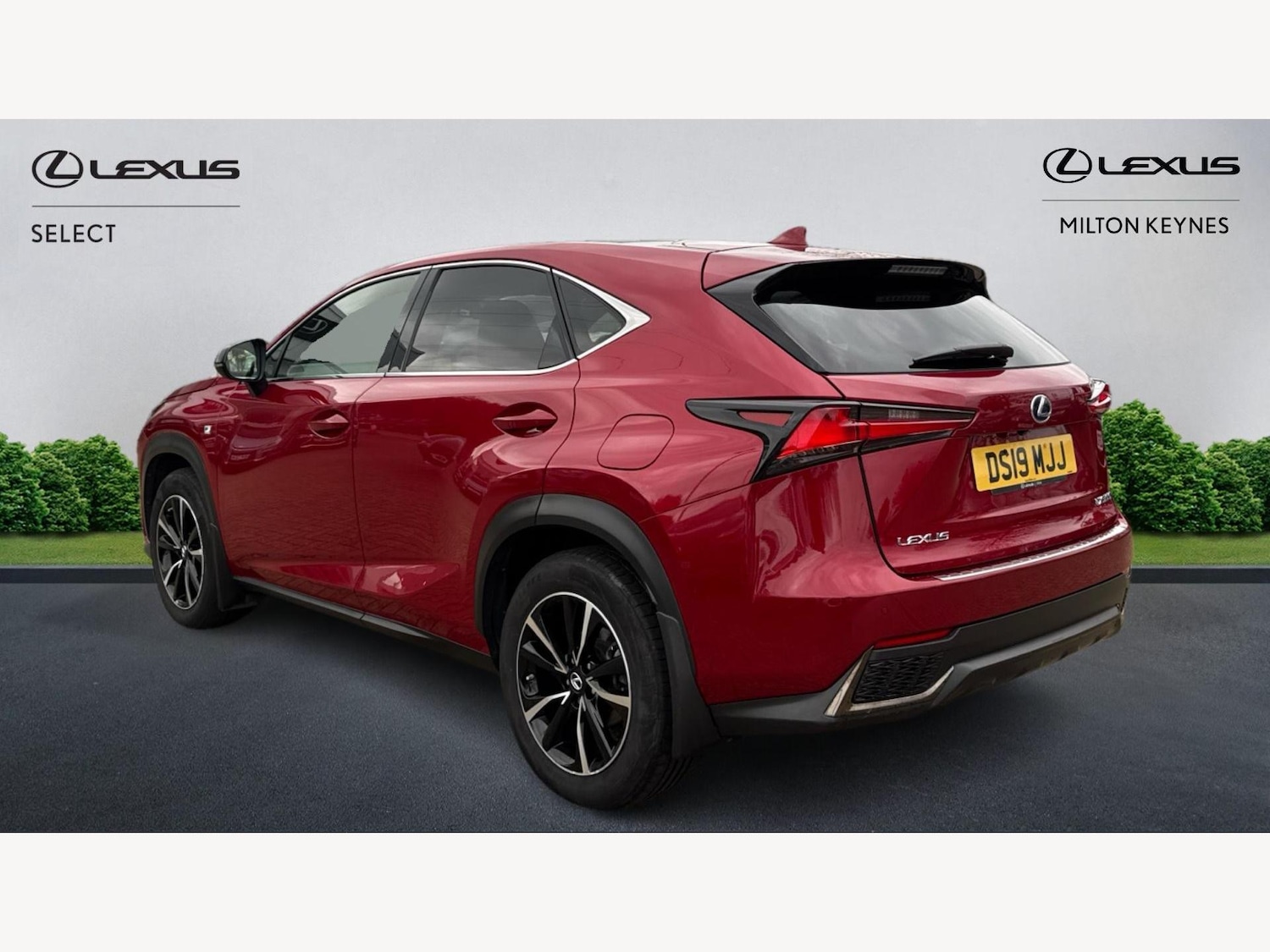 Used Lexus NX 2019 for sale - 76499704: Photo 2
