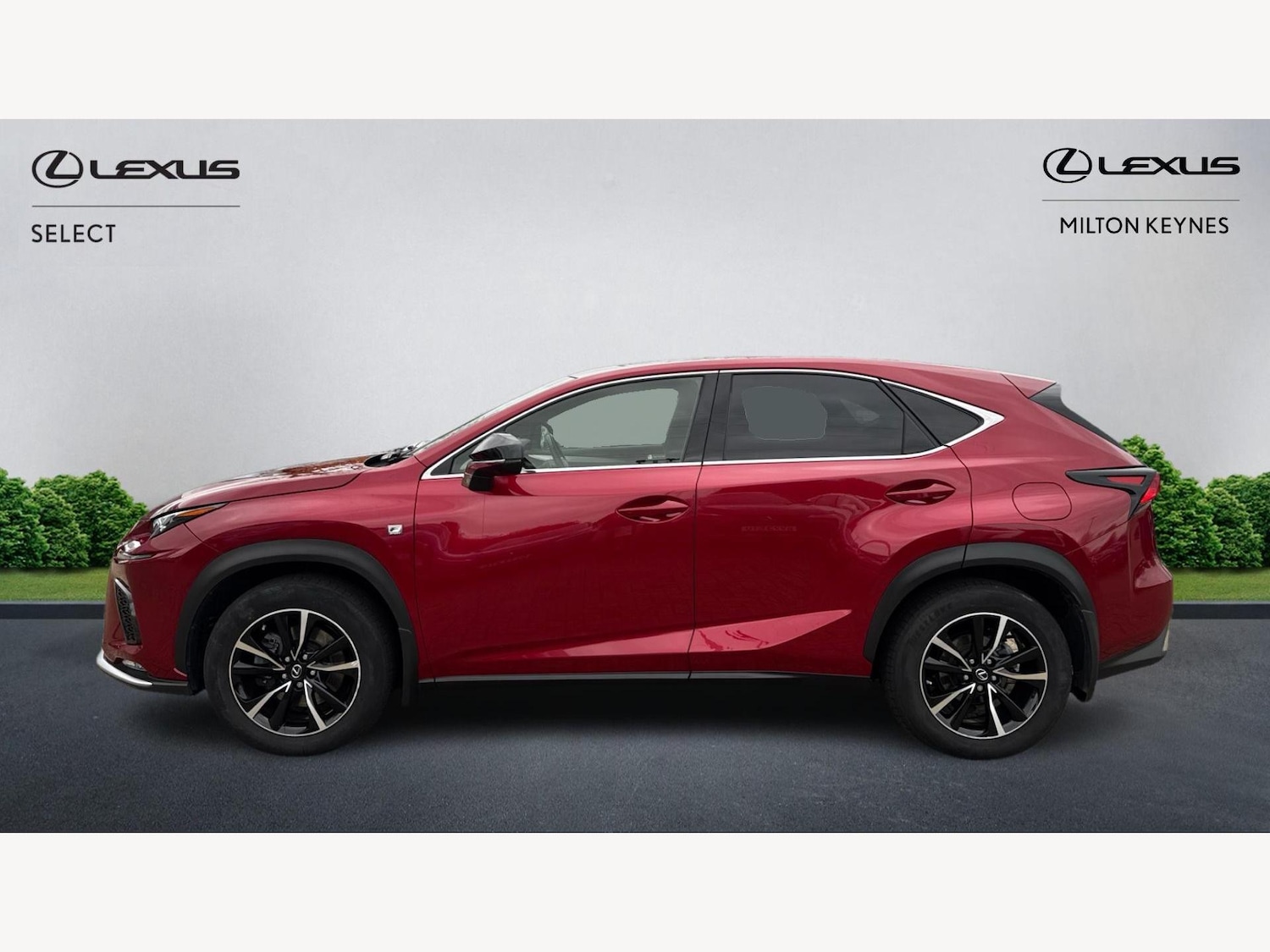 Used Lexus NX 2019 for sale - 76499704: Photo 3