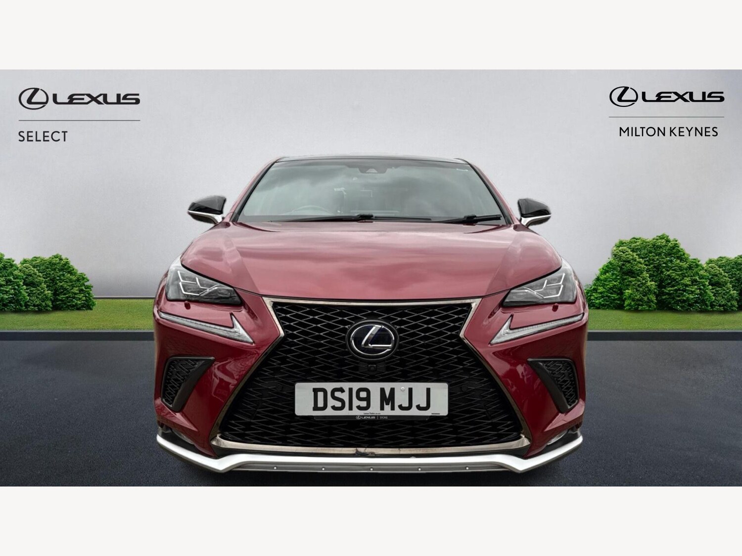 Used Lexus NX 2019 for sale - 76499704: Photo 6