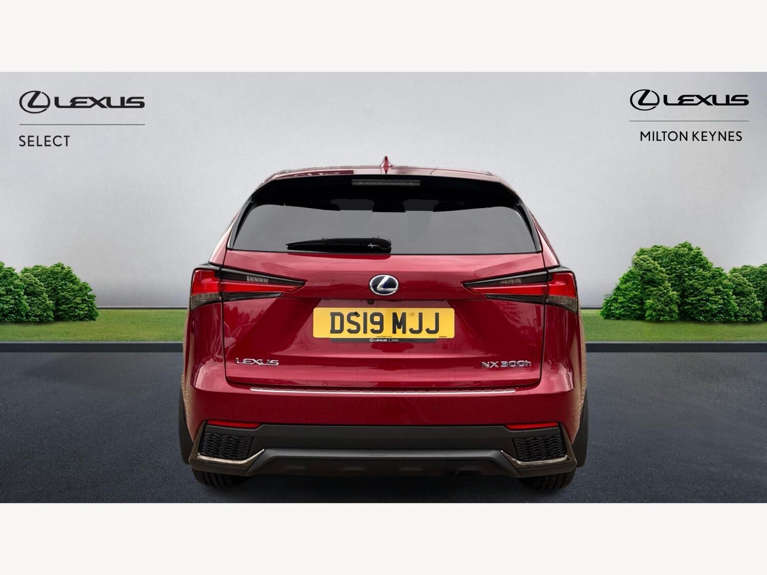 Used Lexus NX 2019 for sale - 76499704: Photo 7