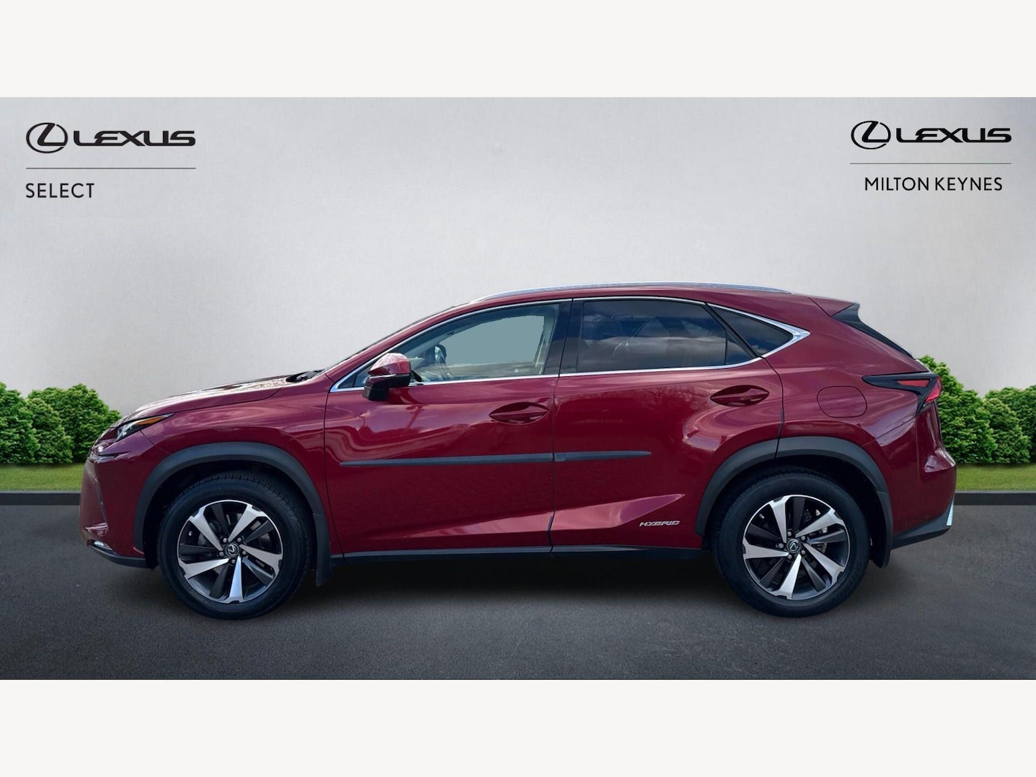 Used Lexus NX for sale - 77893040: Photo 3