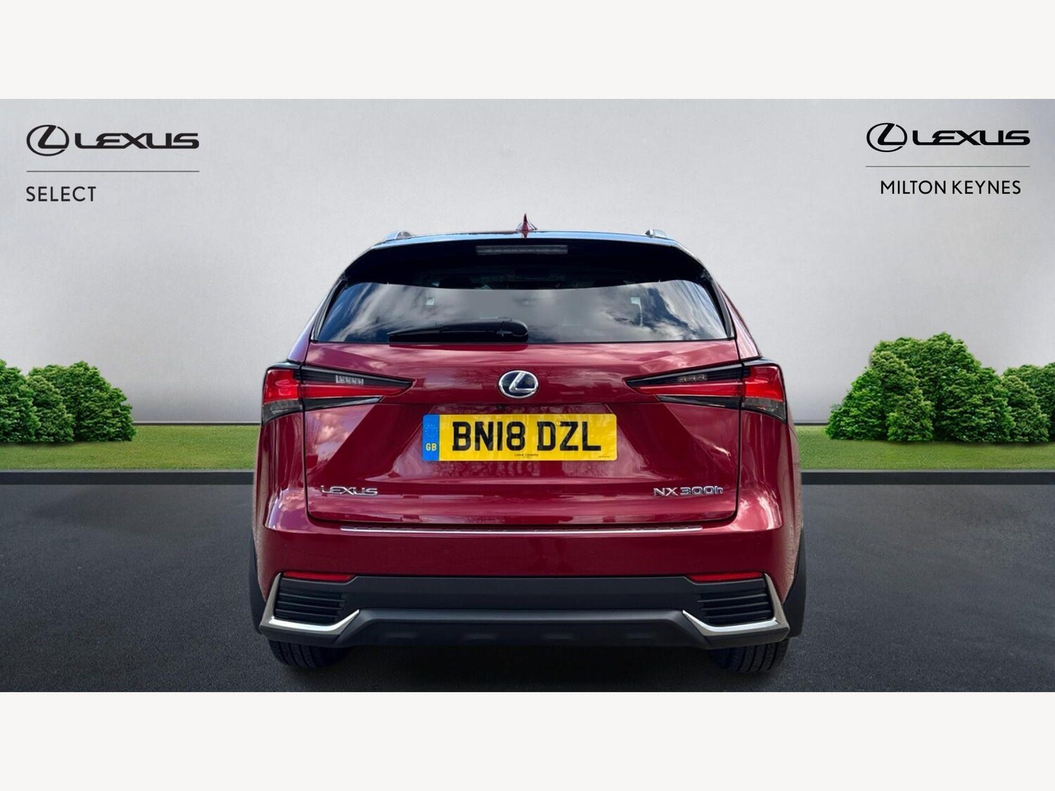 Used Lexus NX for sale - 77893040: Photo 7