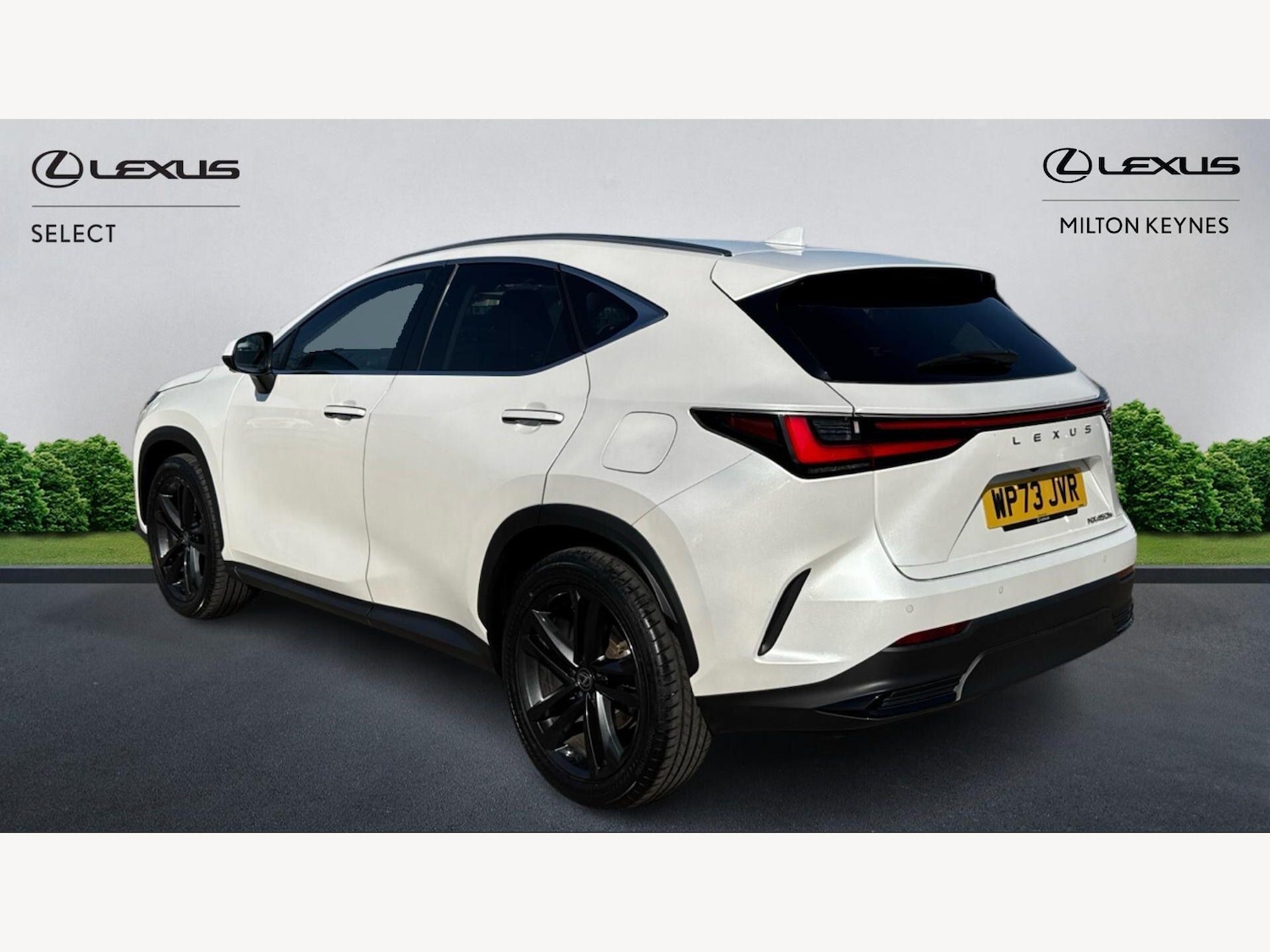 Used Lexus NX 2023 for sale - 77925140: Photo 2