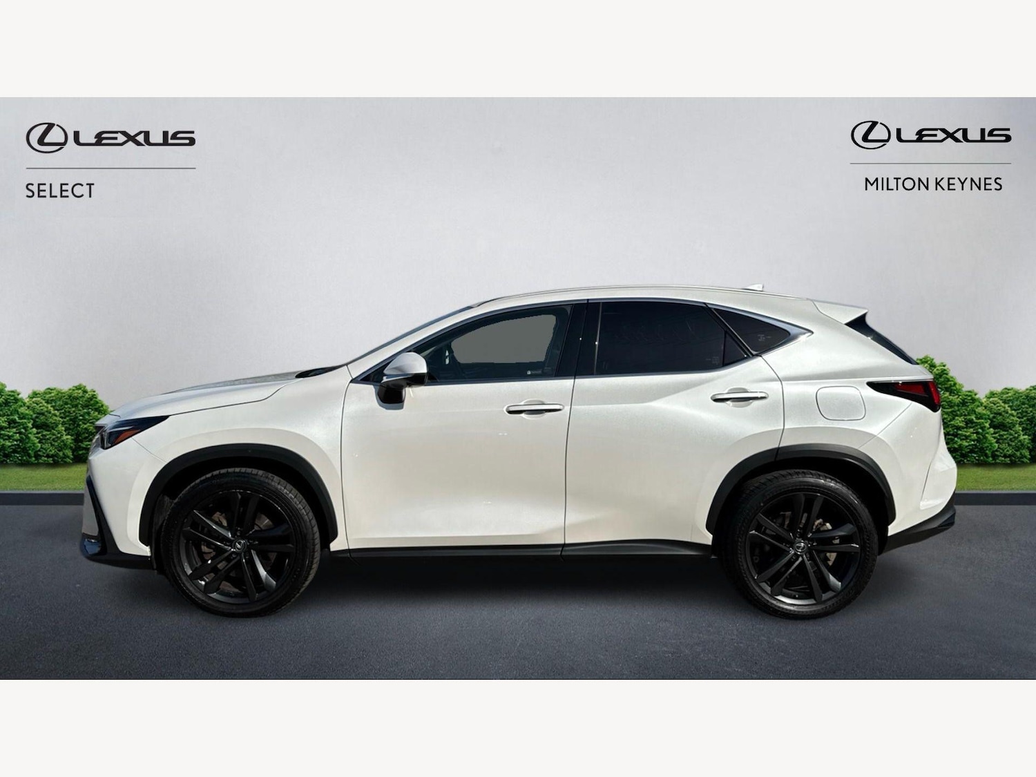 Used Lexus NX 2023 for sale - 77925140: Photo 3