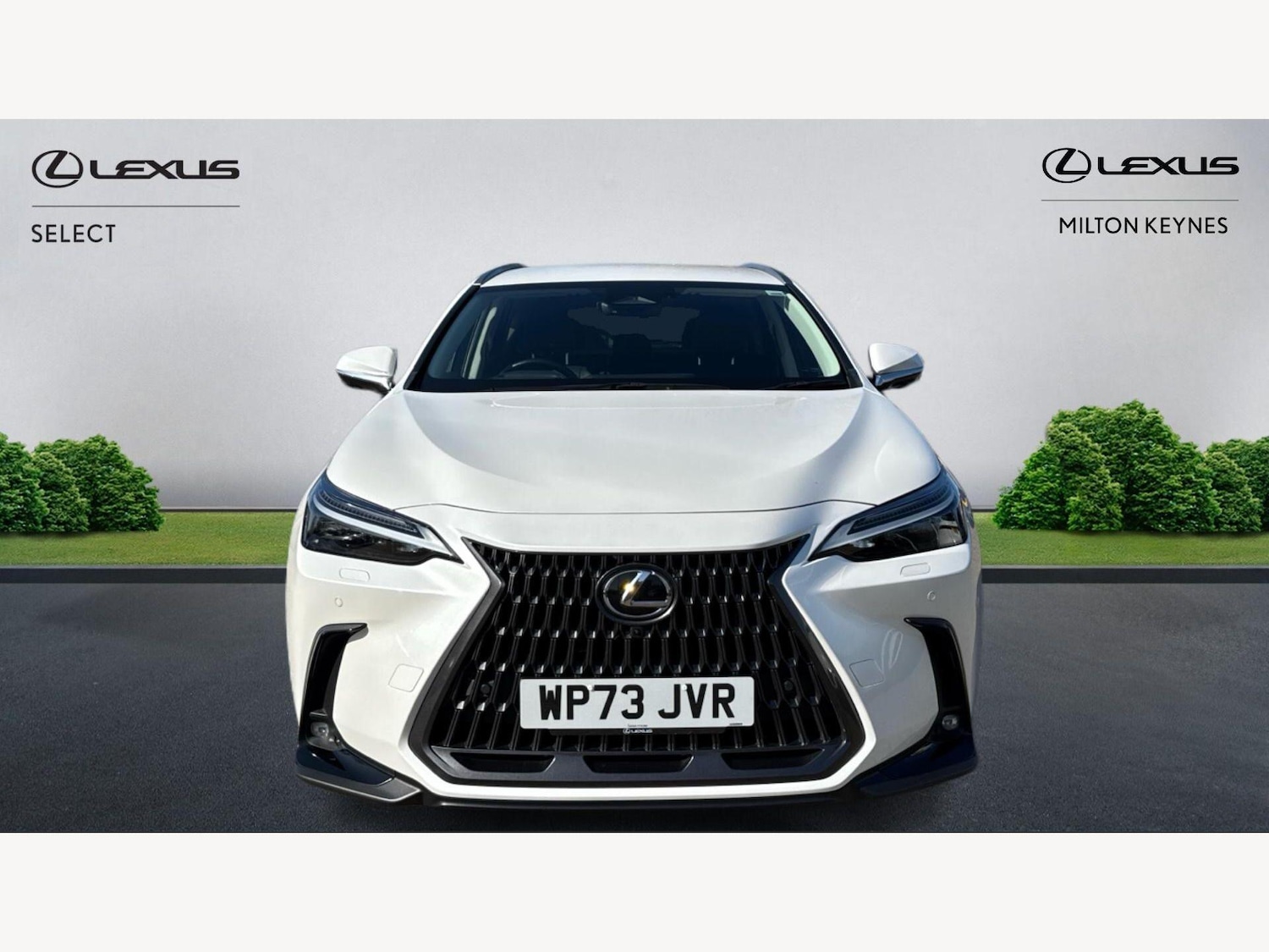 Used Lexus NX 2023 for sale - 77925140: Photo 6