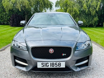 Used Jaguar XF 2016 for sale - 78685448: Photo