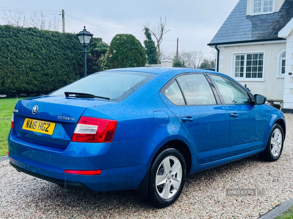 Used Skoda Octavia 2016 for sale - 77396923: Photo 6