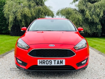 Used Ford Focus 2015 for sale - 75429911: Photo