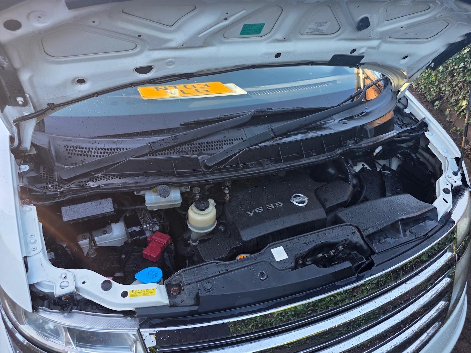 Used Nissan Elgrand 2018 for sale - 77271088: Photo 6