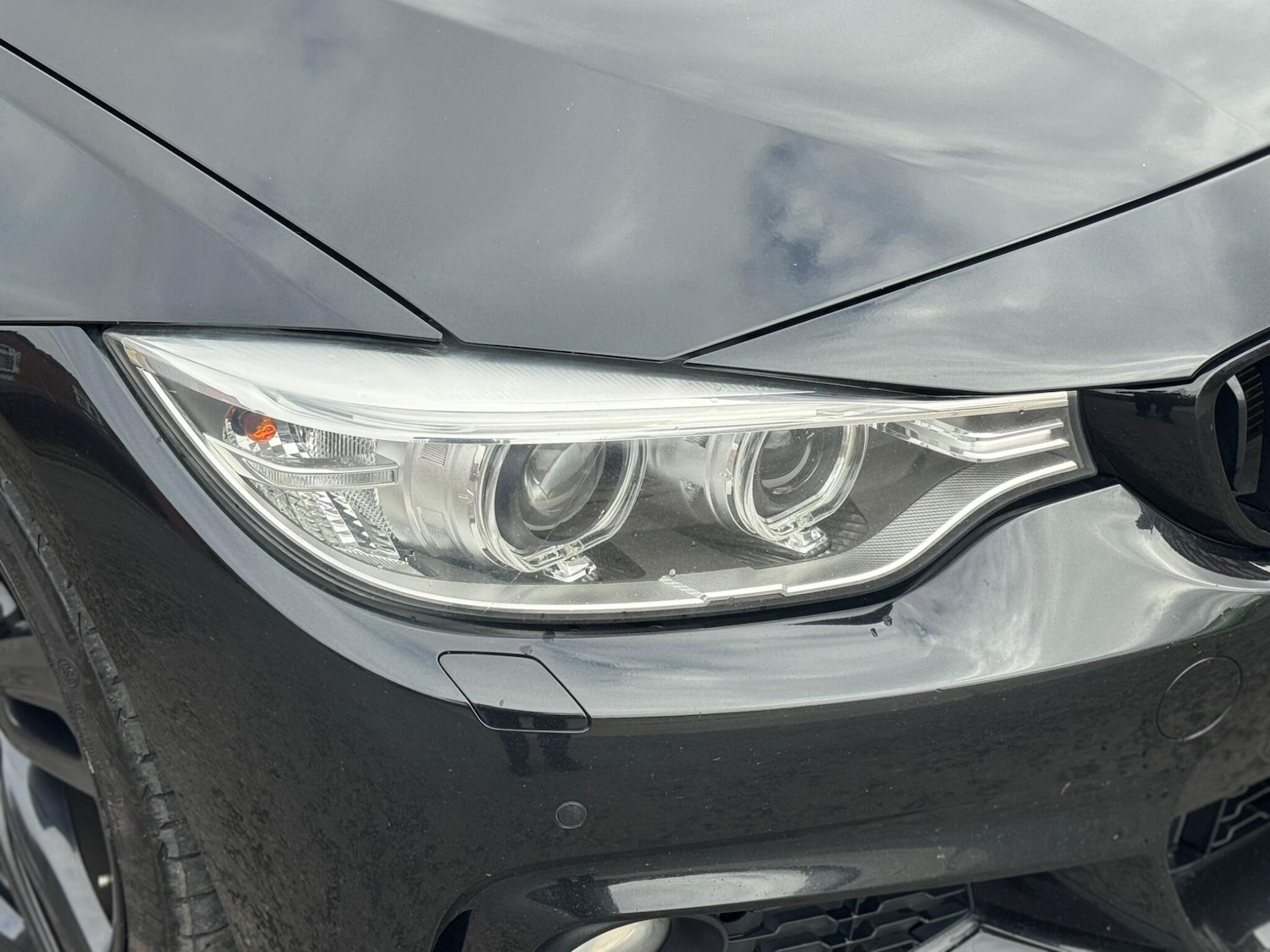 Used BMW 4 Series for sale - 77704665: Photo 81