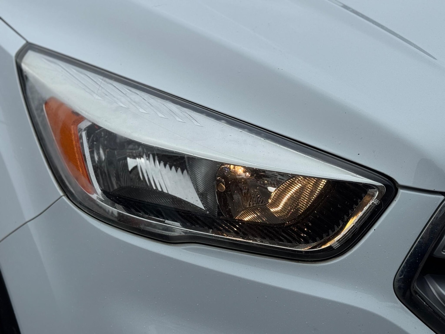 Used Ford Kuga 2017 for sale - 77439781: Photo 59