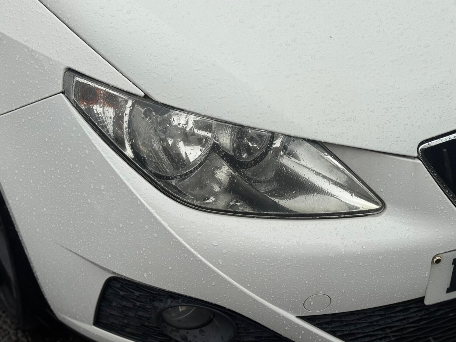 Used SEAT Ibiza 2009 for sale - 76886971: Photo 50