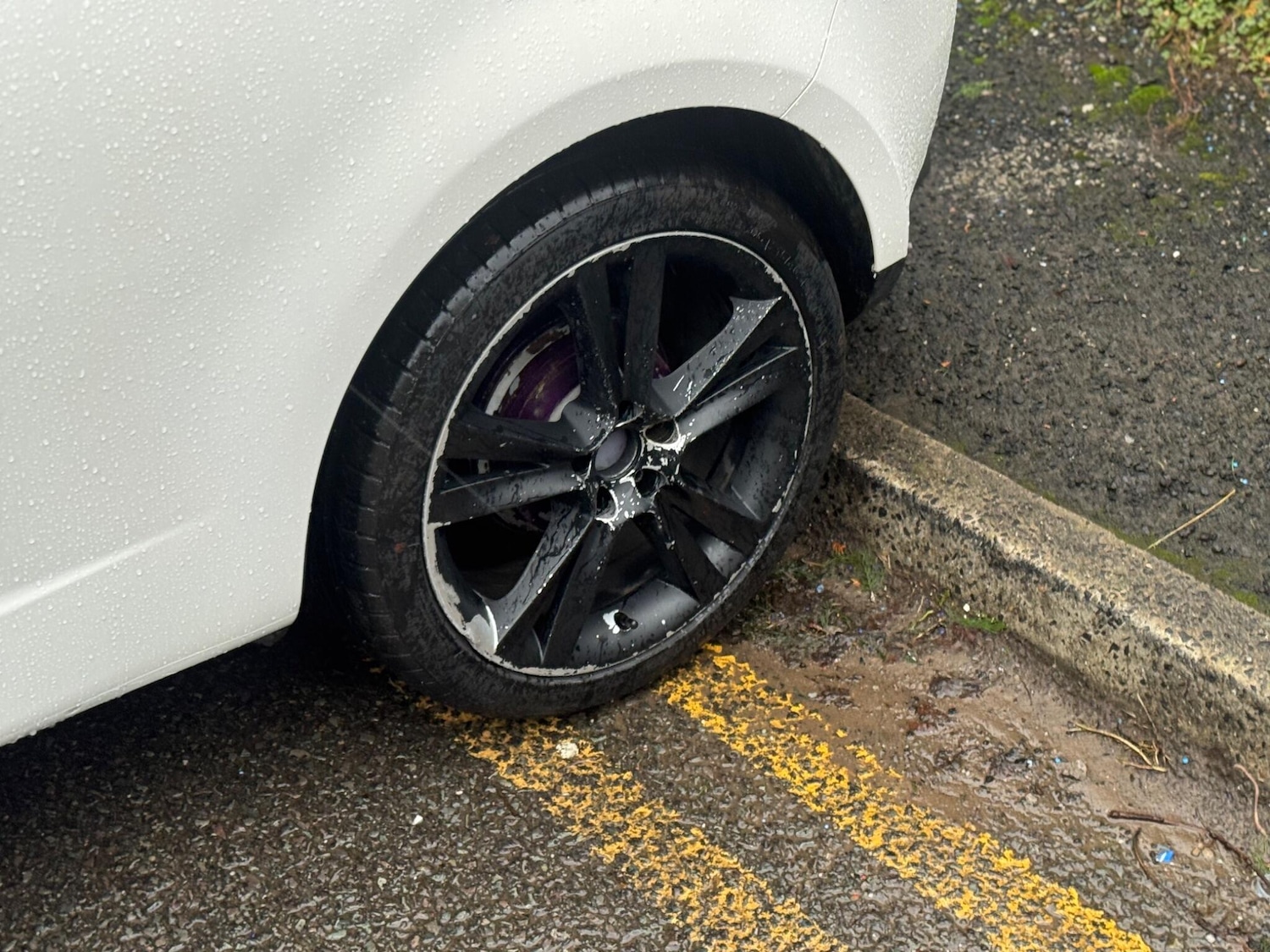 Used SEAT Ibiza 2009 for sale - 76886971: Photo 52