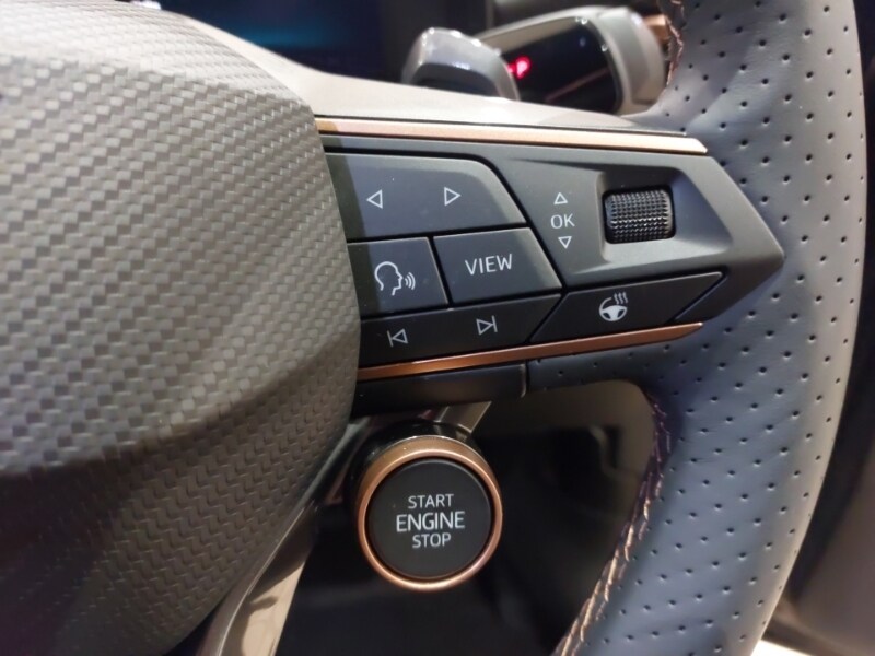 Used Cupra Terramar 2025 for sale - 76543804: Photo 15