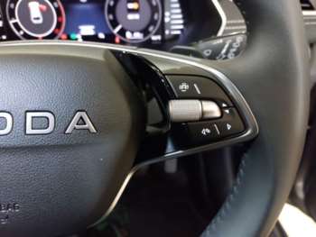 2025 - 1.5 TSI 150 e-TEC SE L 5dr DSG