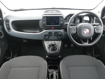 Used Fiat Panda 2023 for sale - 79481209: Photo