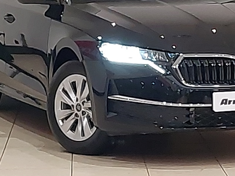 Used Skoda Octavia 2025 for sale - 77123179: Photo 9