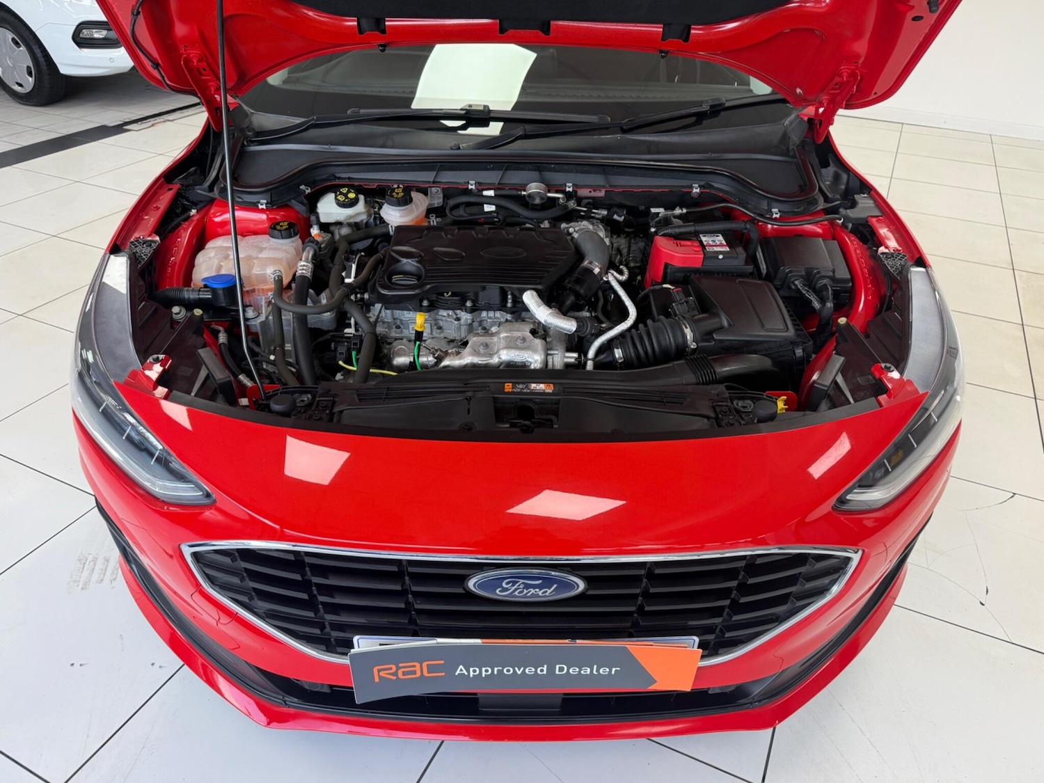 Used Ford Focus 2023 for sale - 77291158: Photo 66