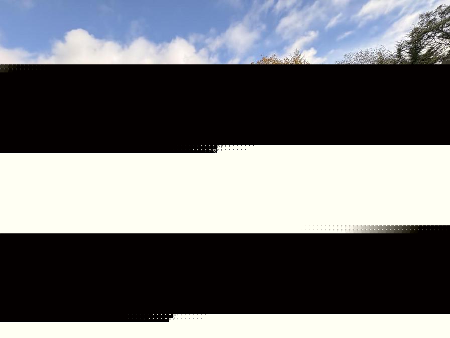 Used Ford Transit Custom 2014 for sale - 76442168: Photo 5