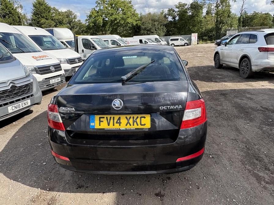 Used Skoda Octavia 2014 for sale - 76204651: Photo 11
