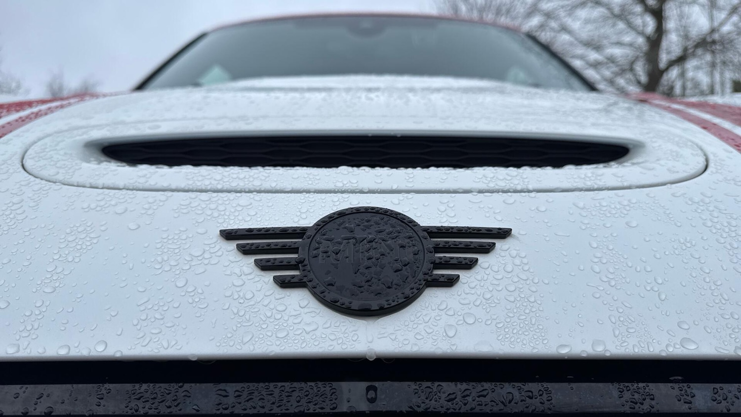 Used MINI Clubman 2023 for sale - 77616882: Photo 6