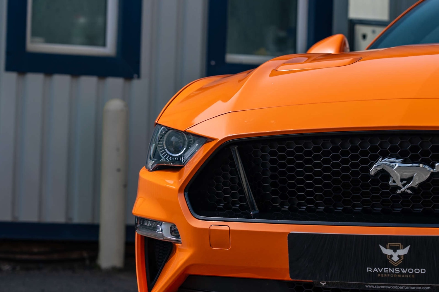 Used Ford Mustang 2021 for sale - 78201131: Photo 24