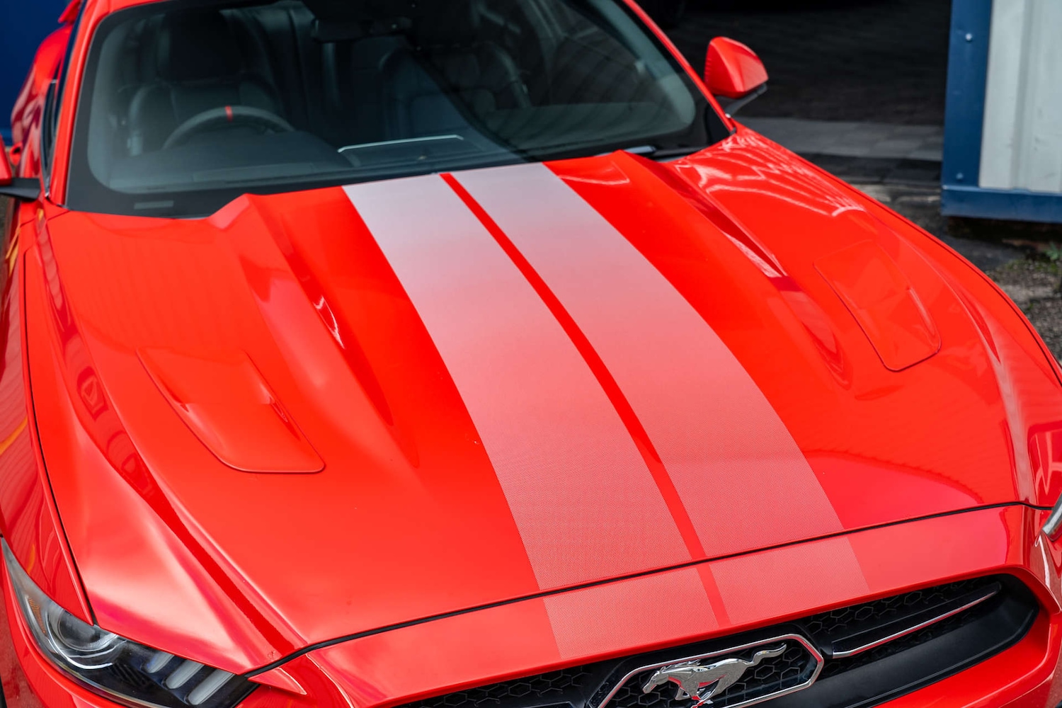 Used Ford Mustang 2017 for sale - 77161976: Photo 21