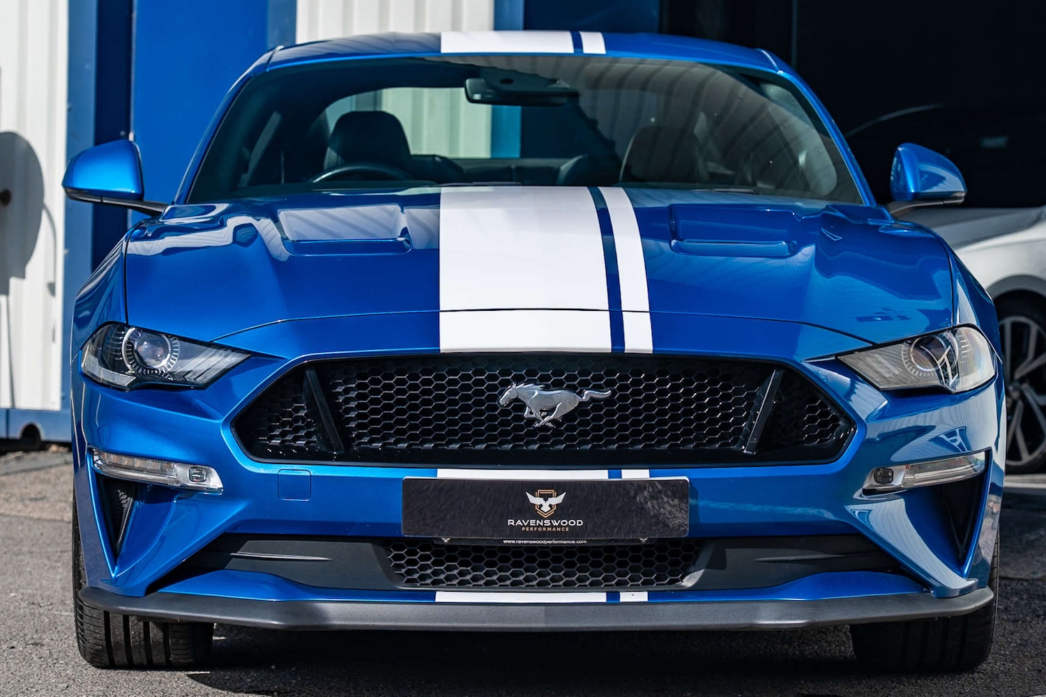Used Ford Mustang 2019 for sale - 77667948: Photo 28