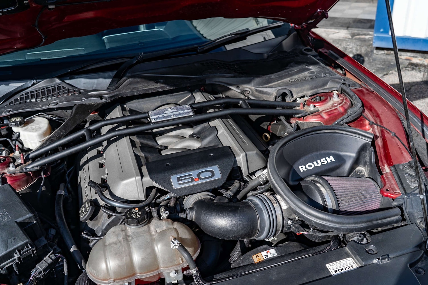 Used Ford Mustang 2016 for sale - 77667903: Photo 19