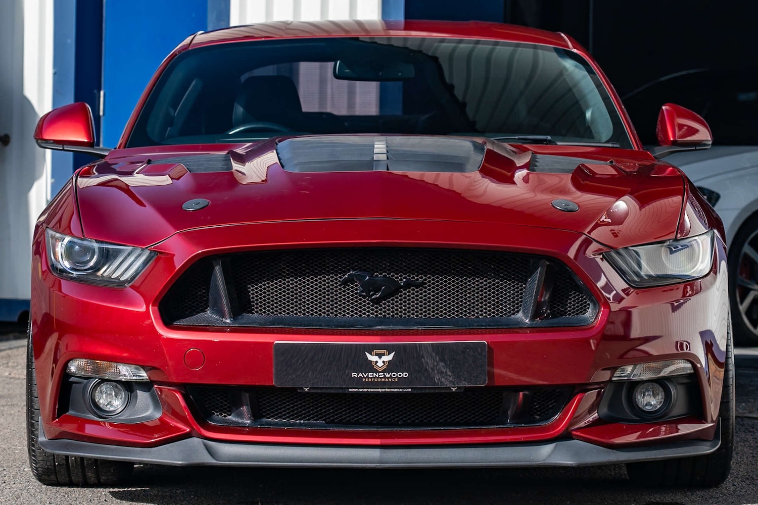 Used Ford Mustang 2016 for sale - 77667903: Photo 28