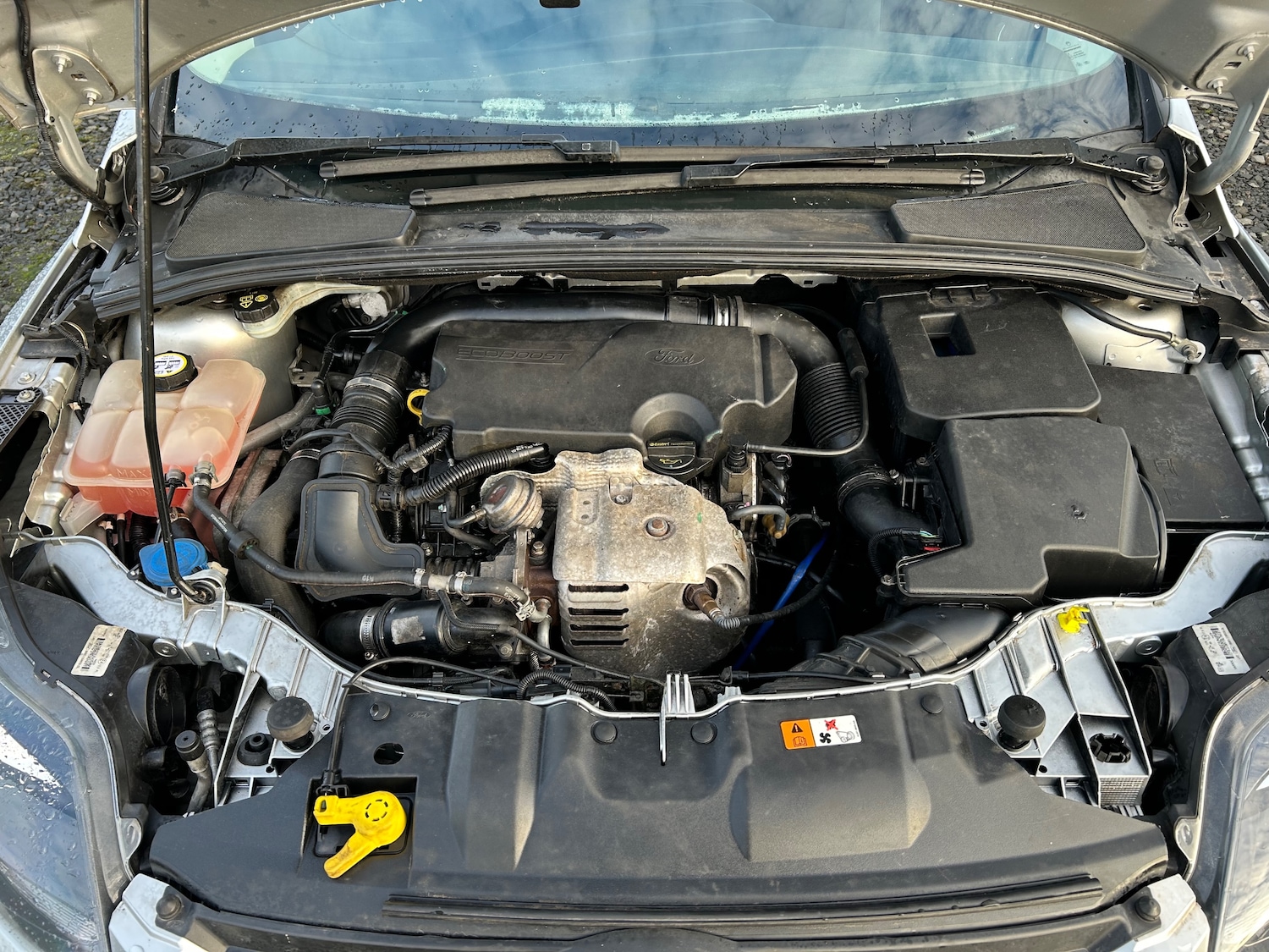 Used Ford Focus 2014 for sale - 77128665: Photo 17