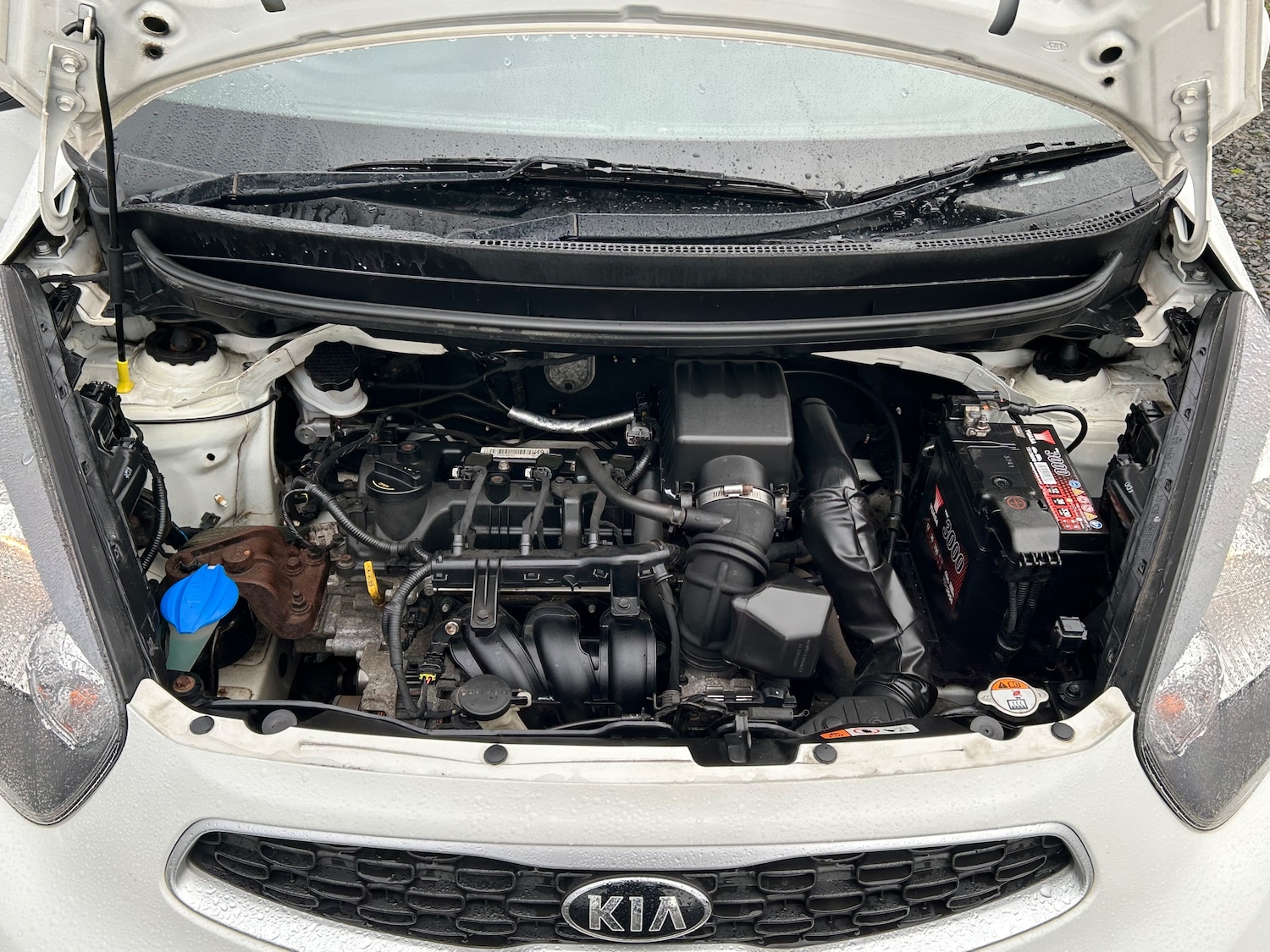 Used Kia Picanto 2015 for sale - 77421278: Photo 16