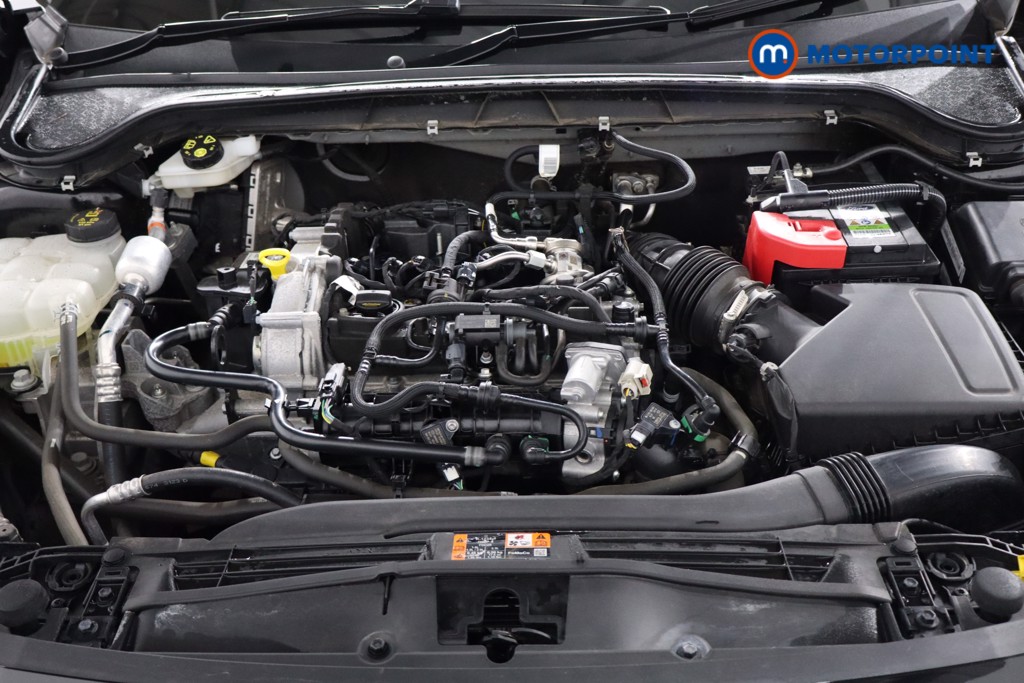 Used Ford Focus 2024 for sale - 77354807: Photo 43