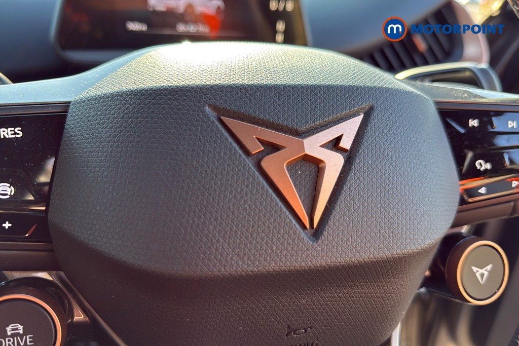 Used Cupra Tavascan 2024 for sale - 77943566: Photo 13