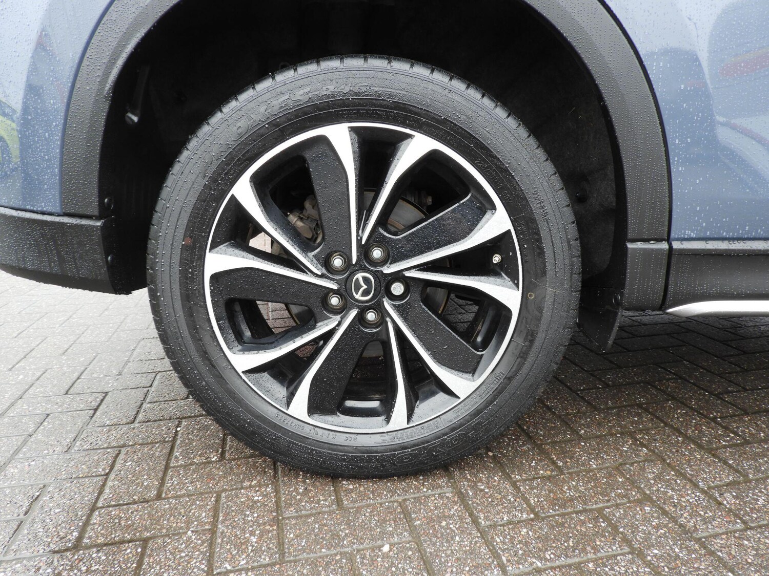 Used Mazda CX-5 2024 for sale - 77573756: Photo 9