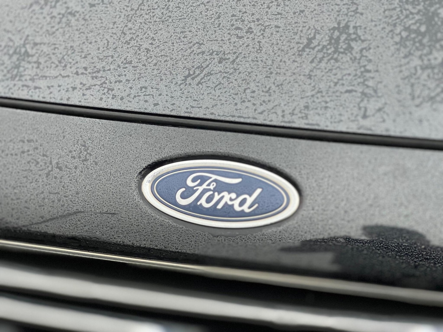 Used Ford Fiesta 2015 for sale - 76561485: Photo 33