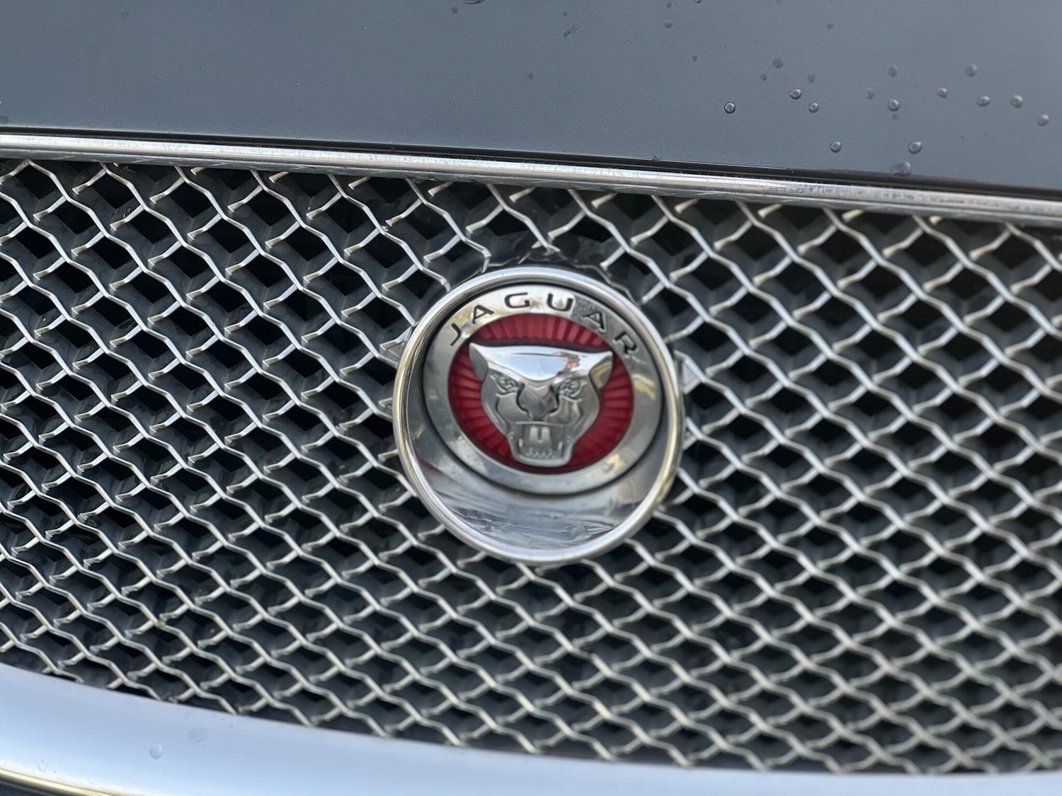 Used Jaguar XF 2014 for sale - 77143265: Photo 36